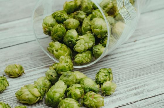 Unsplash Hops