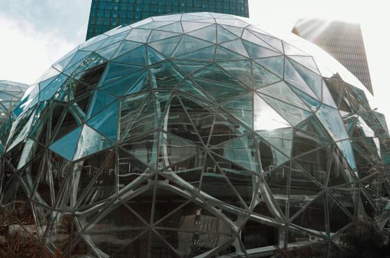 Amazon Spheres