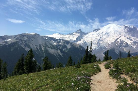 Mt Rainier