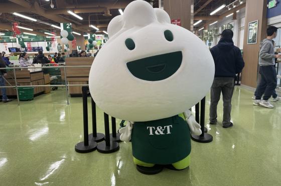 T&T Mascot Suit