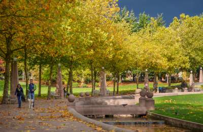 Walking around Downtown Park