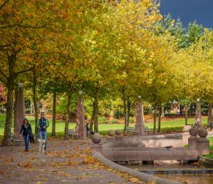 Walking around Downtown Park