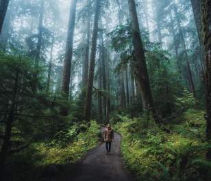 Picture at Olympic National Park, taken by @HelloEmilie & @JasonCharlesHill during their trip to Bellevue. Picture at Olympic National Park, taken by @HelloEmilie & @JasonCharlesHill during their trip to Bellevue.