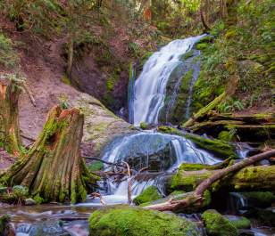 Hiking Coal Creek Falls