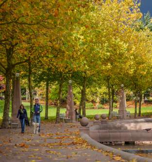Walking around Downtown Park