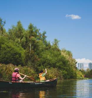 Canoe on Mercer Slough