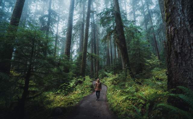 Picture at Olympic National Park, taken by @HelloEmilie & @JasonCharlesHill during their trip to Bellevue. Picture at Olympic National Park, taken by @HelloEmilie & @JasonCharlesHill during their trip to Bellevue.