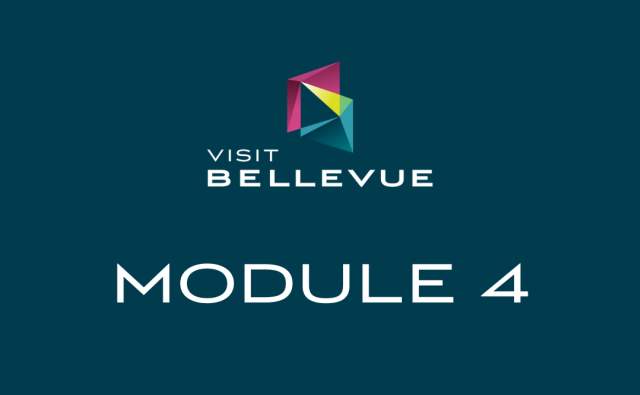 Module 4: Opportunities, Reports, & Support