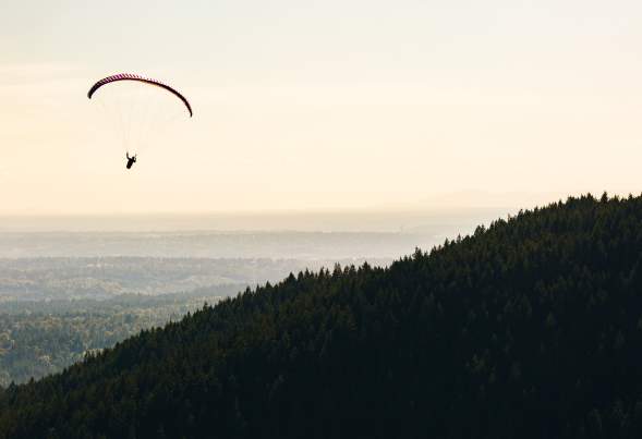 Paraglider