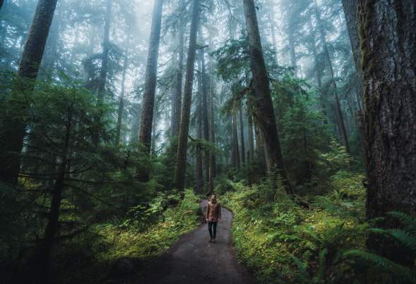 Picture at Olympic National Park, taken by @HelloEmilie & @JasonCharlesHill during their trip to Bellevue. Picture at Olympic National Park, taken by @HelloEmilie & @JasonCharlesHill during their trip to Bellevue.