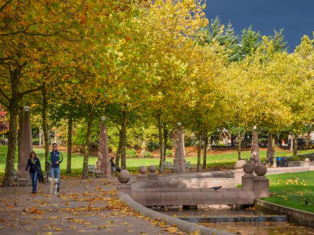Walking around Downtown Park