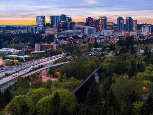 Bellevue Skyline