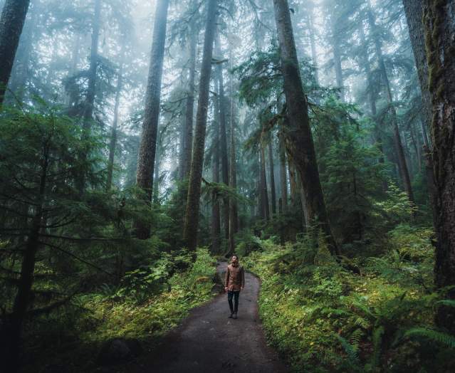 Picture at Olympic National Park, taken by @HelloEmilie & @JasonCharlesHill during their trip to Bellevue. Picture at Olympic National Park, taken by @HelloEmilie & @JasonCharlesHill during their trip to Bellevue.