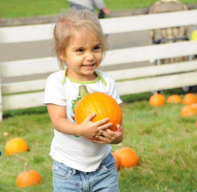 Girl with Pumpkin at Creek Farm Fair