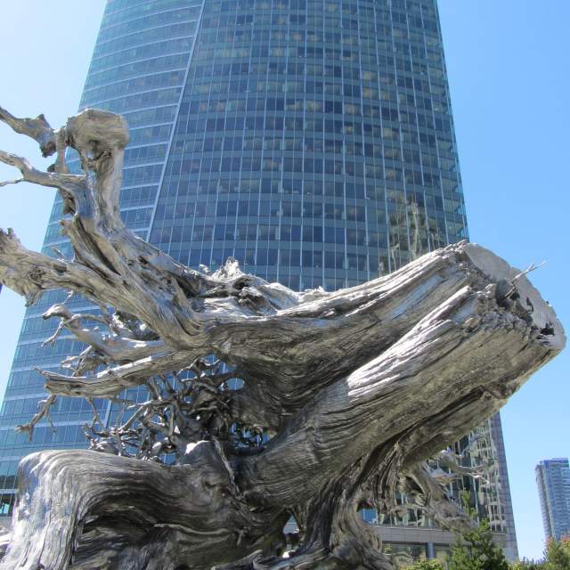 Art-Root-and-Microsoft-Building