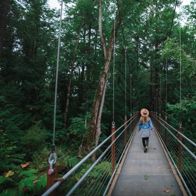 Picture at Bellevue Botanical Garden, taken by @HelloEmilie & @JasonCharlesHill during their trip to Bellevue.