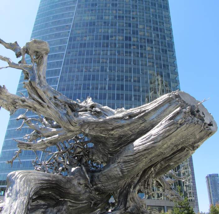 Art-Root-and-Microsoft-Building