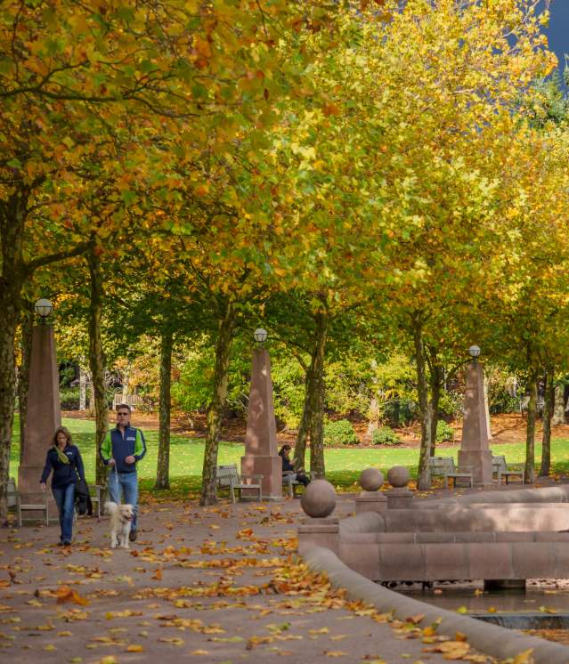 Walking around Downtown Park