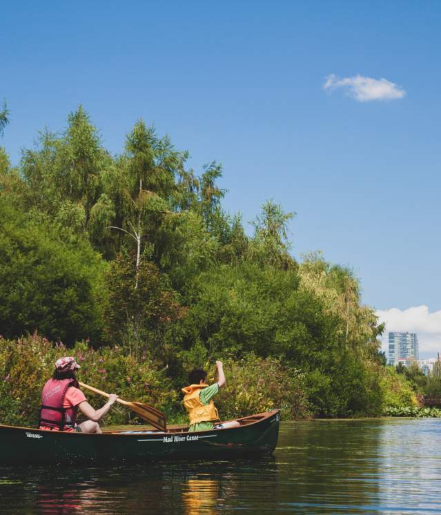 Canoe on Mercer Slough