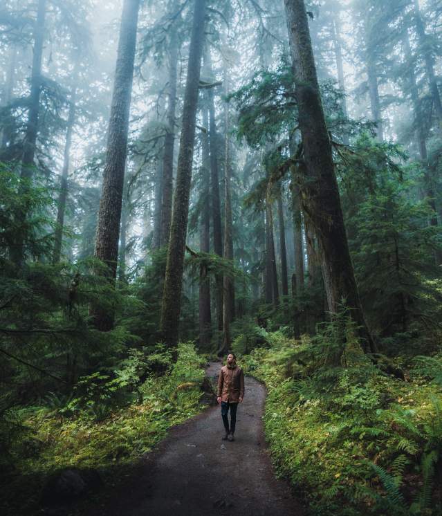 Picture at Olympic National Park, taken by @HelloEmilie & @JasonCharlesHill during their trip to Bellevue. Picture at Olympic National Park, taken by @HelloEmilie & @JasonCharlesHill during their trip to Bellevue.