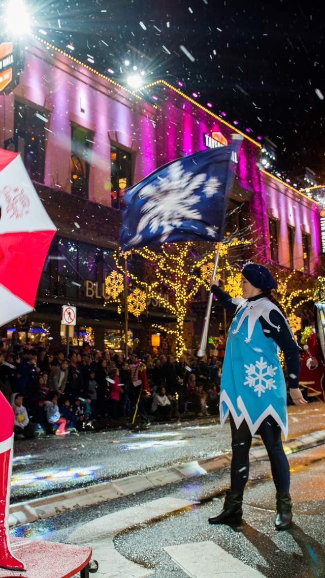 Snowflake Lane