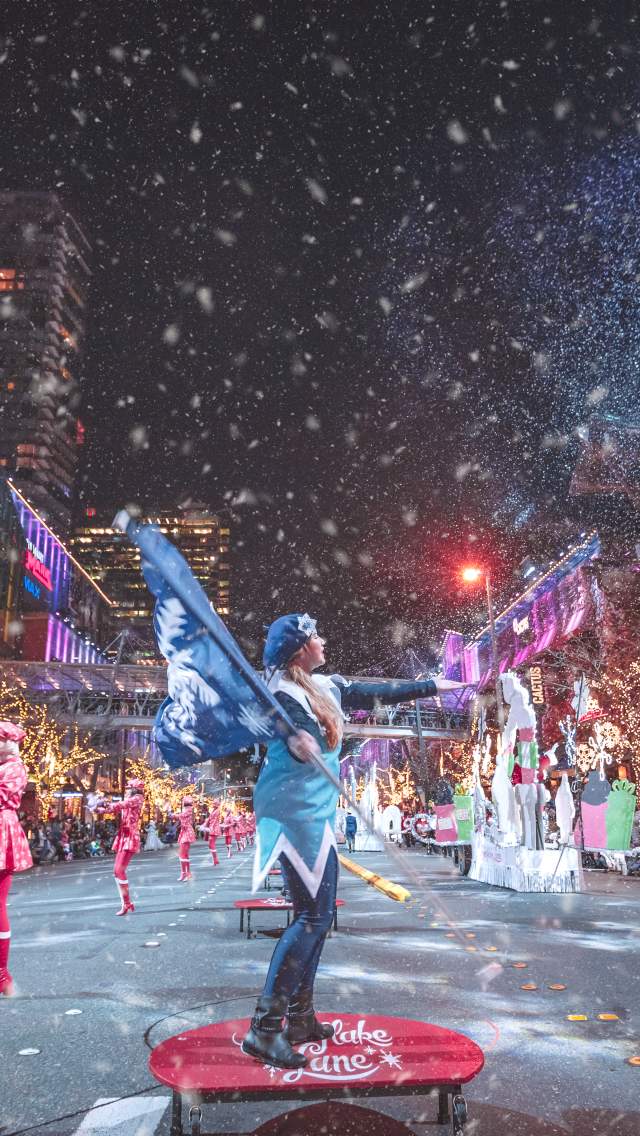 Snowflake Lane