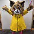 Belle The Bobcat