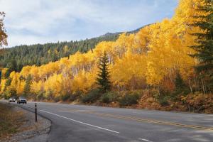 Stevens Pass Fall Colors in Washington