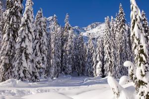 Snoqualmie Snowshoeing