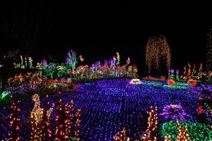 Garden d'Lights