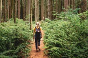 Hiking In Washington