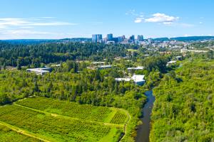 Mercer Slough