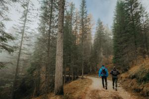 Winter Hikes in Bellevue