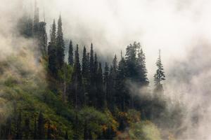 Snoqualmie Valley