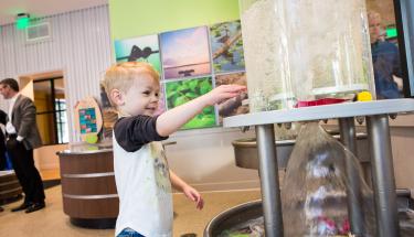 Water Activity at KidsQuest Museum