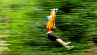 Zip Tour