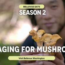 Bellevue Eats - Mushroom Foraging with Bis on Main & Ascend