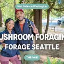 Mushroom Foraging in the Pacific Northwest | The Vue