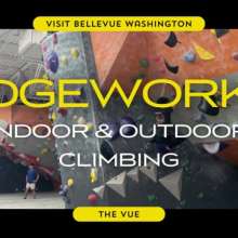 The Vue | Climbing to New Heights