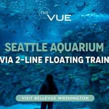 Bellevue to the Seattle Aquarium by Light Rail � | The Vue