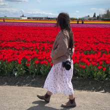 Skagit Valley Day Trip from Bellevue, WA | The Vue