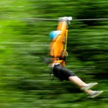 Zip Tour