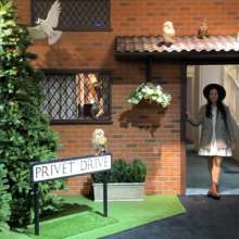 The Vue | Harry Potter: Magic at Play