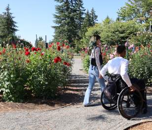 Wheelchair Accessible Bellevue Botanical Garden