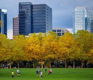 Bellevue Downtown Park Frisbee