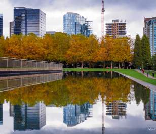 Bellevue Downtown Park Skyline and Pond