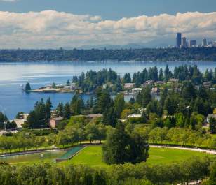 Bellevue + Seattle Skyline