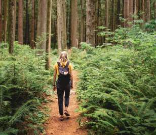 4 Unforgettable Summer Hikes Around Bellevue