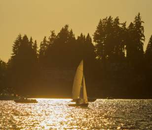 Lake Washington Sailboat