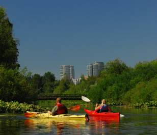 Things to do in Bellevue: Kayaking through Mercer Slough